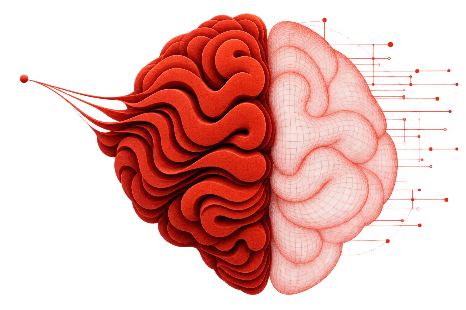 A stylised red brain: half sculptural form, half wireframe structure